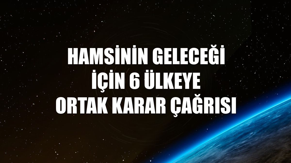 Hamsinin geleceği için 6 ülkeye ortak karar çağrısı