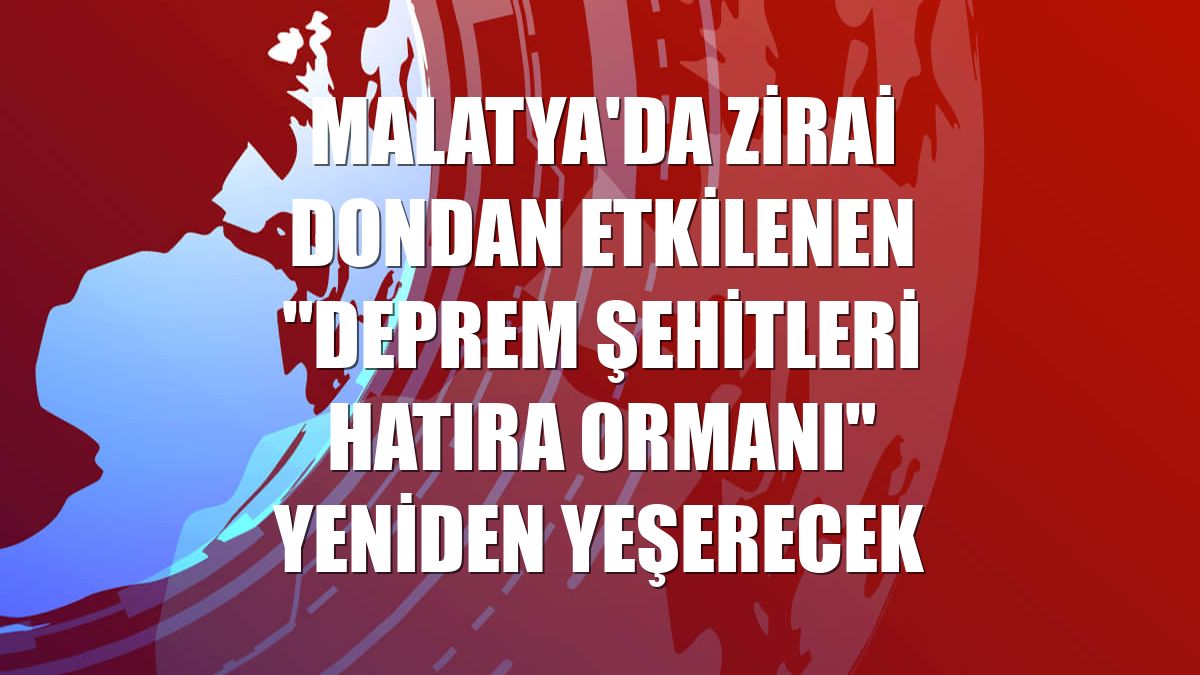 Malatya'da zirai dondan etkilenen "Deprem Şehitleri Hatıra Ormanı" yeniden yeşerecek