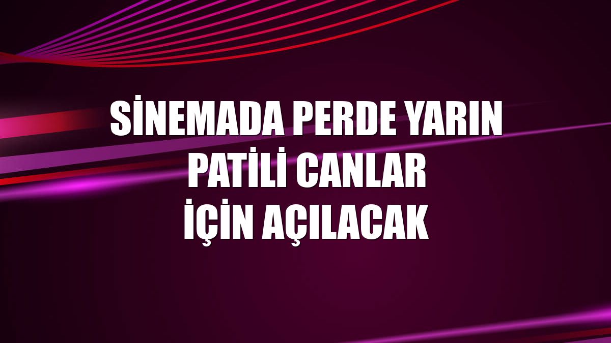 Sinemada perde yarın patili canlar için açılacak