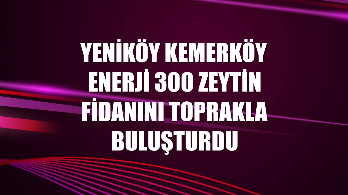 Yeniköy Kemerköy Enerji 300 zeytin fidanını toprakla buluşturdu