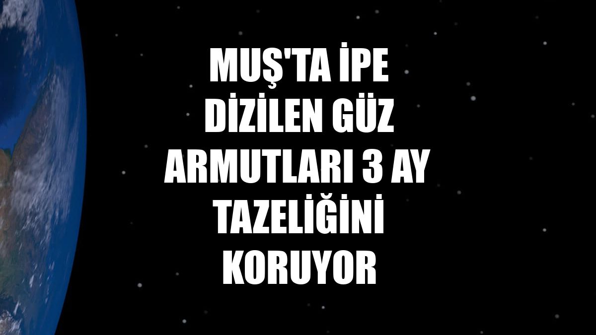 Muş'ta ipe dizilen güz armutları 3 ay tazeliğini koruyor