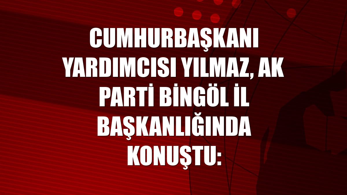 Cumhurbaşkanı Yardımcısı Yılmaz, AK Parti Bingöl İl Başkanlığında konuştu: