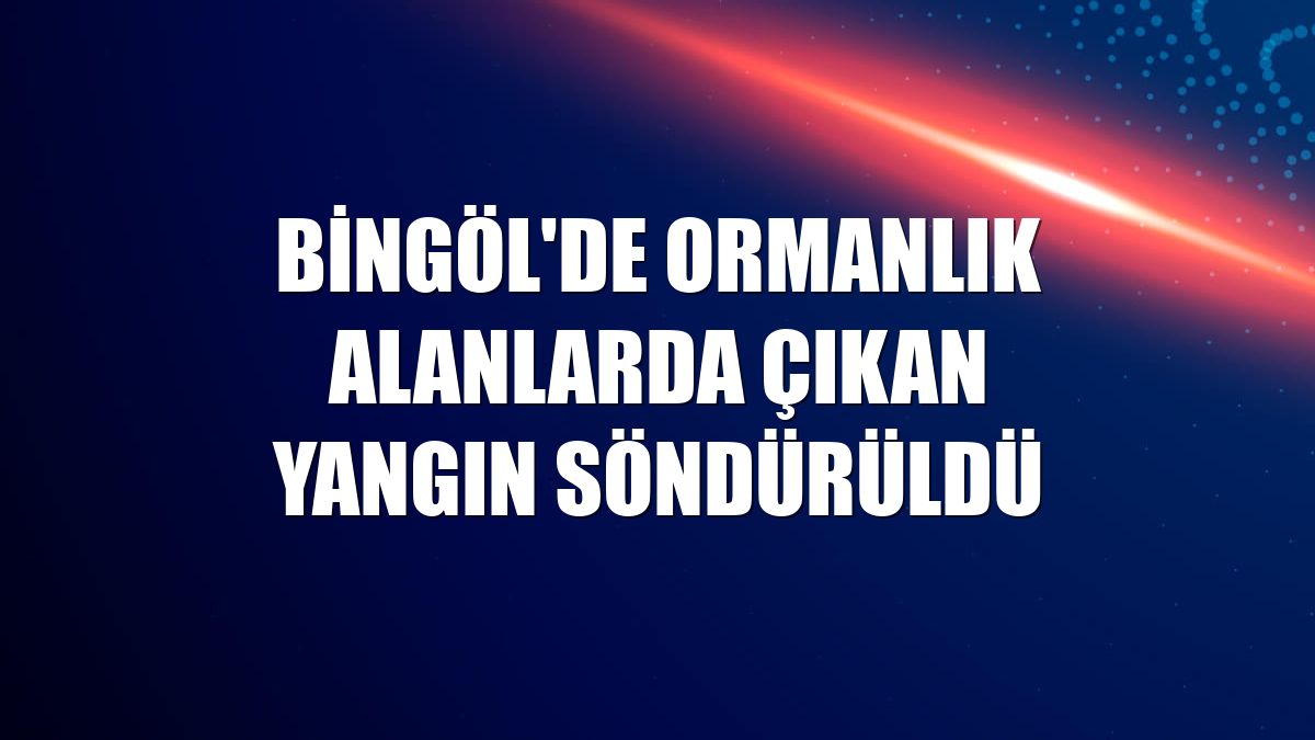 Bingöl'de ormanlık alanlarda çıkan yangın söndürüldü