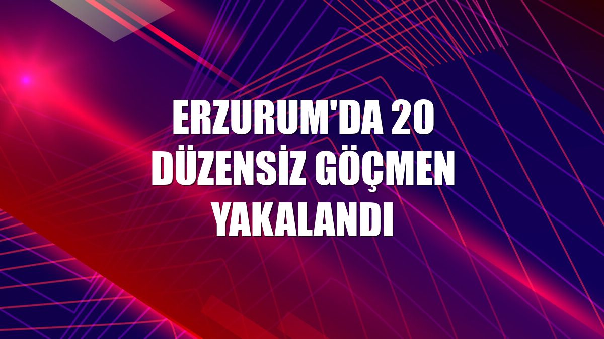 Erzurum'da 20 düzensiz göçmen yakalandı
