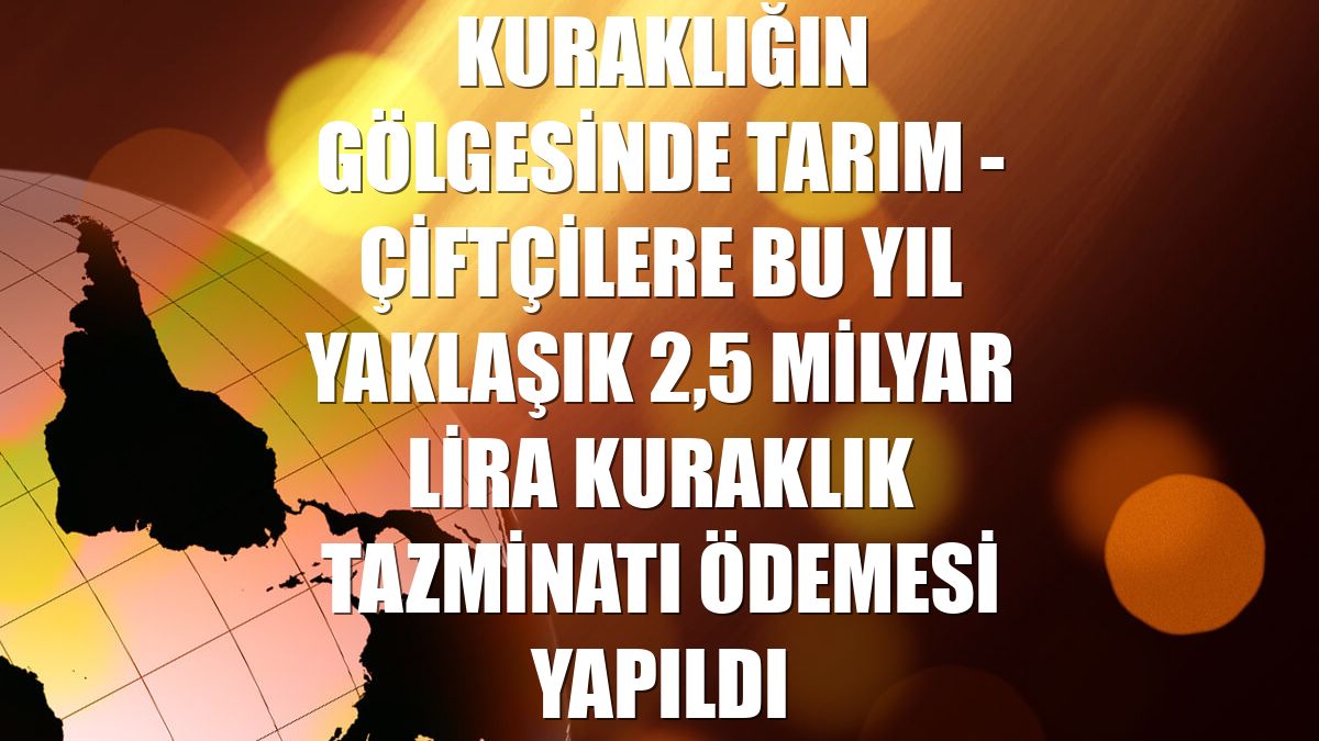 KURAKLIĞIN GÖLGESİNDE TARIM - Çiftçilere bu yıl yaklaşık 2,5 milyar lira kuraklık tazminatı ödemesi yapıldı