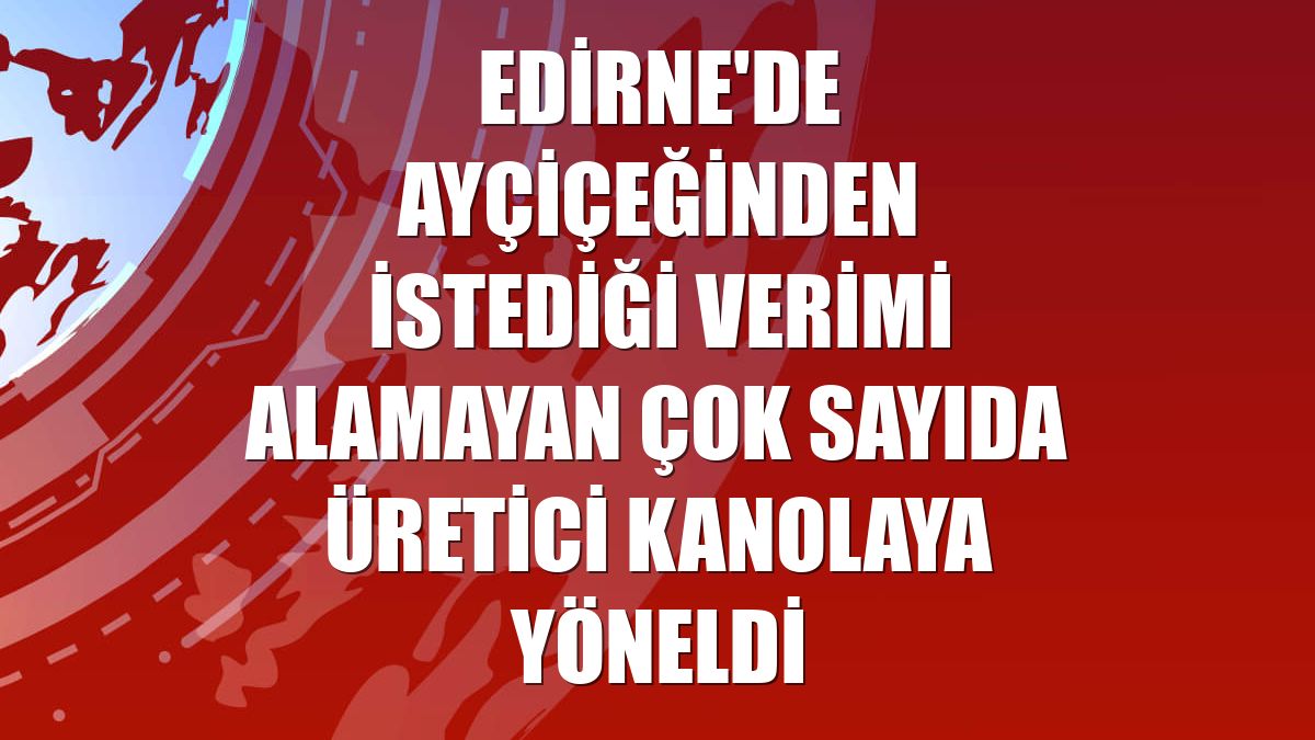 Edirne'de ayçiçeğinden istediği verimi alamayan çok sayıda üretici kanolaya yöneldi