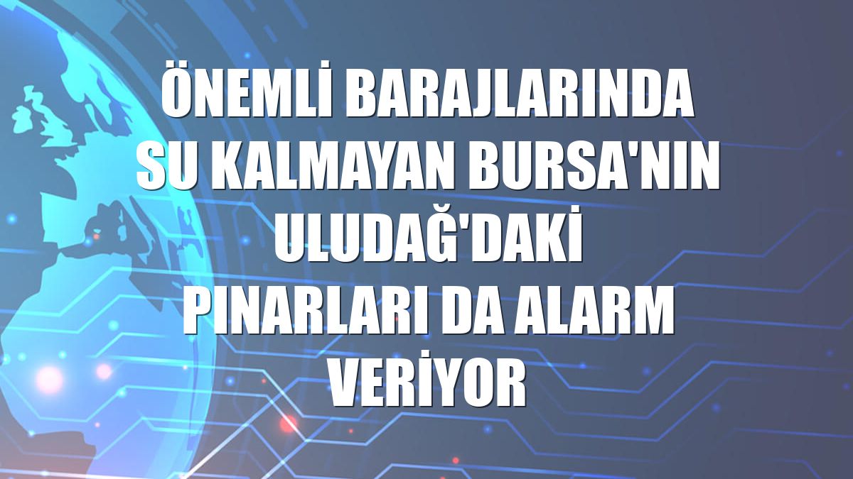 Önemli barajlarında su kalmayan Bursa'nın Uludağ'daki pınarları da alarm veriyor