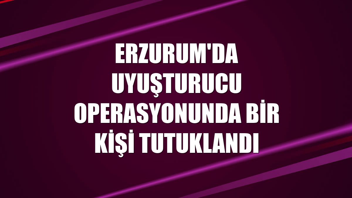 Erzurum'da uyuşturucu operasyonunda bir kişi tutuklandı