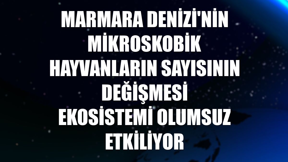 Marmara Denizi'nin mikroskobik hayvanların sayısının değişmesi ekosistemi olumsuz etkiliyor