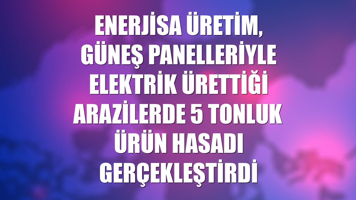 Enerjisa Üretim, güneş panelleriyle elektrik ürettiği arazilerde 5 tonluk ürün hasadı gerçekleştirdi