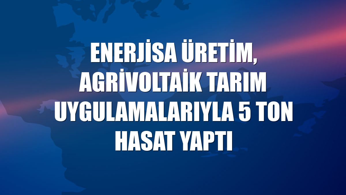Enerjisa Üretim, agrivoltaik tarım uygulamalarıyla 5 ton hasat yaptı