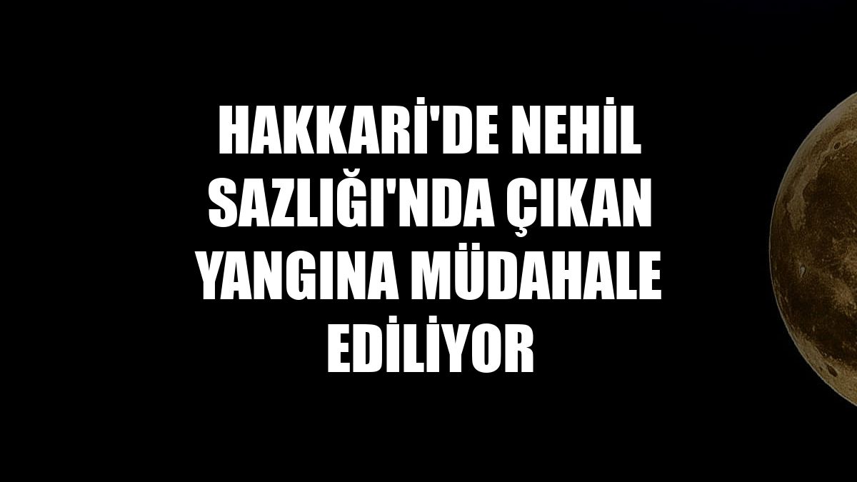 Hakkari'de Nehil Sazlığı'nda çıkan yangına müdahale ediliyor