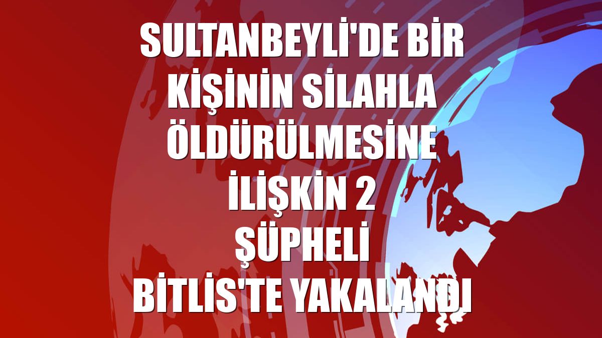 Sultanbeyli'de bir kişinin silahla öldürülmesine ilişkin 2 şüpheli Bitlis'te yakalandı