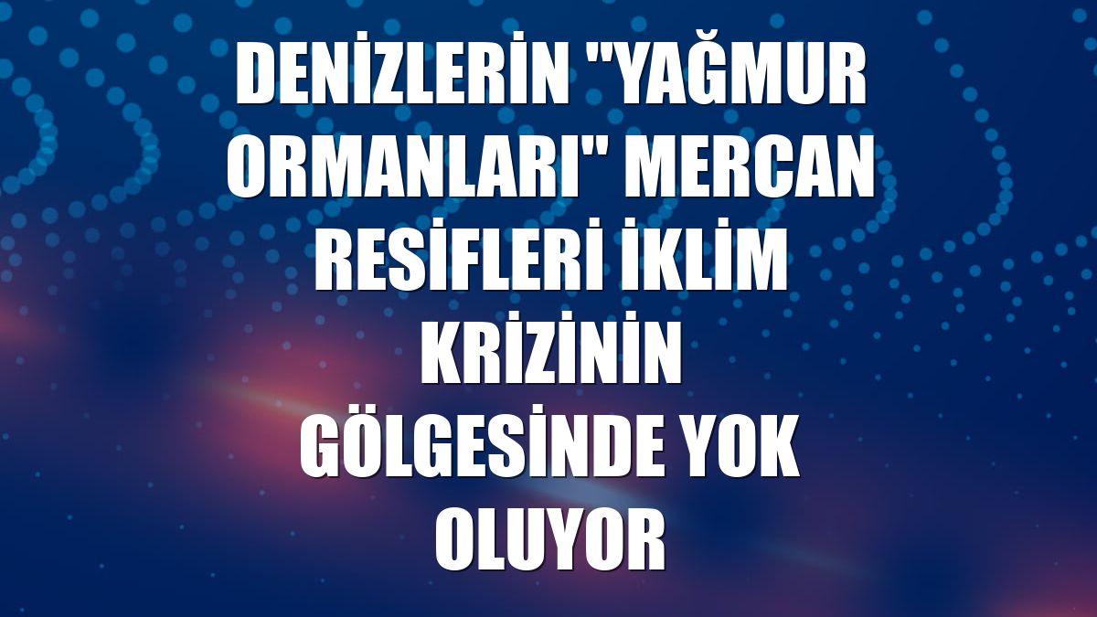 Denizlerin "yağmur ormanları" mercan resifleri iklim krizinin gölgesinde yok oluyor