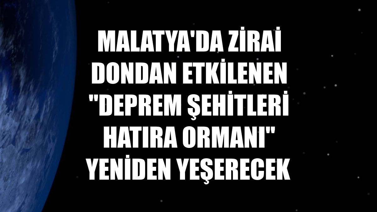 Malatya'da zirai dondan etkilenen "Deprem Şehitleri Hatıra Ormanı" yeniden yeşerecek