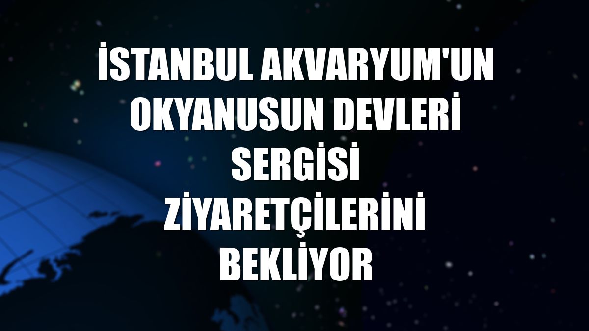 İstanbul Akvaryum'un Okyanusun Devleri sergisi ziyaretçilerini bekliyor