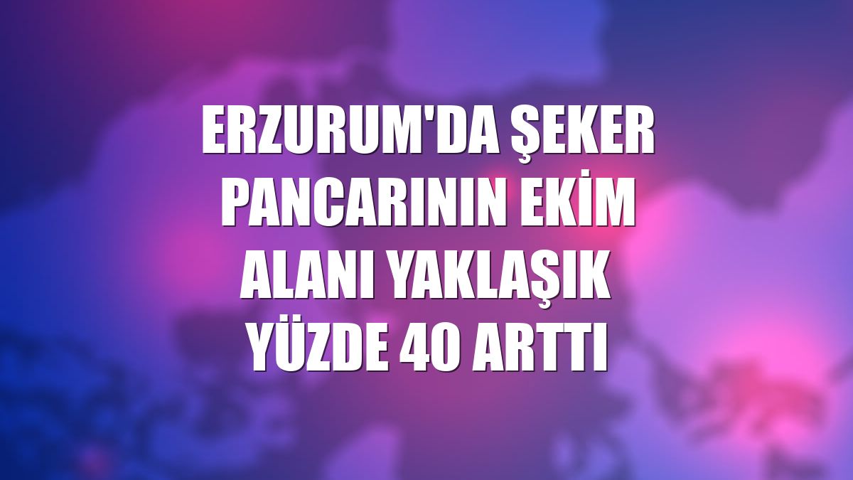 Erzurum'da şeker pancarının ekim alanı yaklaşık yüzde 40 arttı