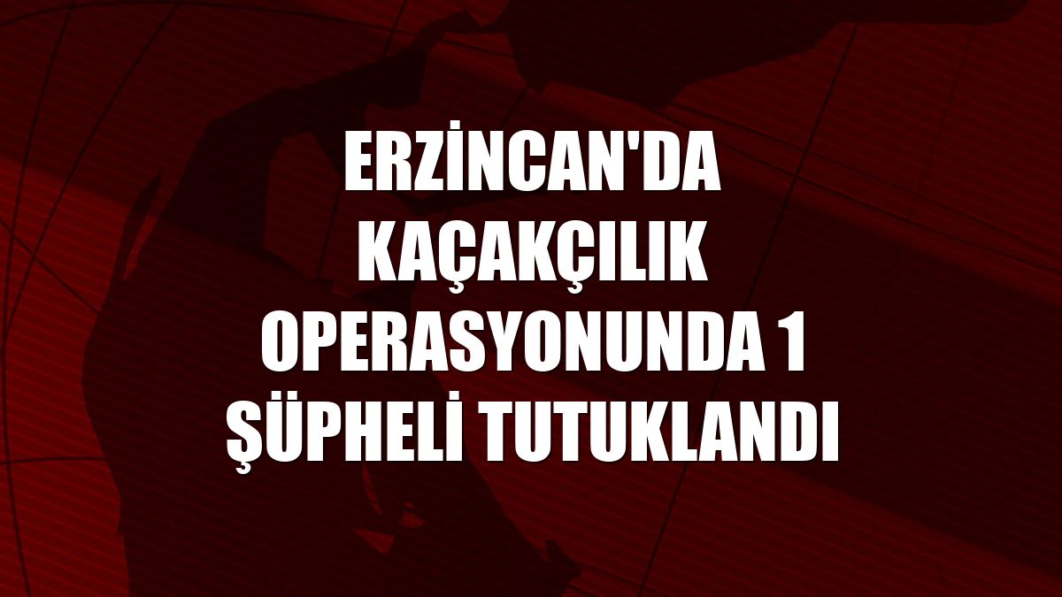 Erzincan'da kaçakçılık operasyonunda 1 şüpheli tutuklandı