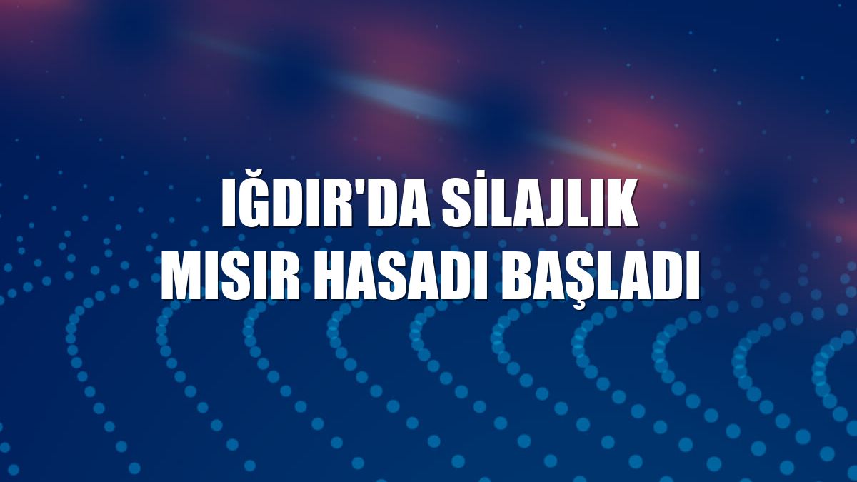 Iğdır'da silajlık mısır hasadı başladı