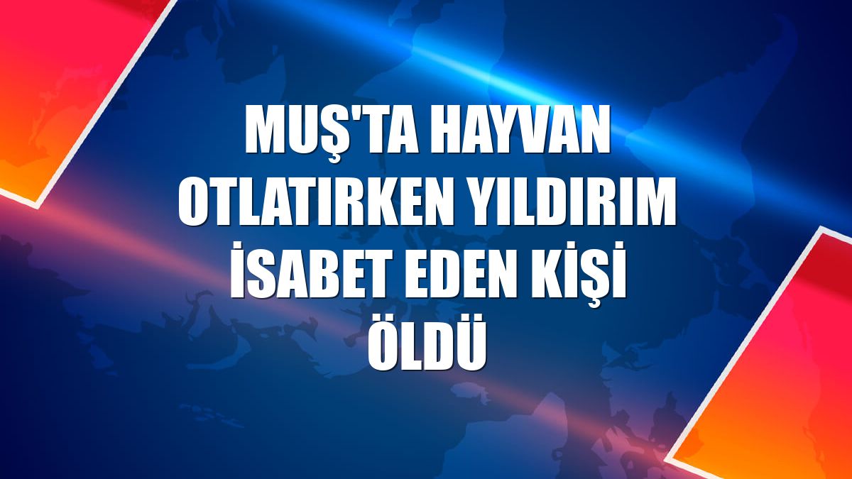 Muş'ta hayvan otlatırken yıldırım isabet eden kişi öldü