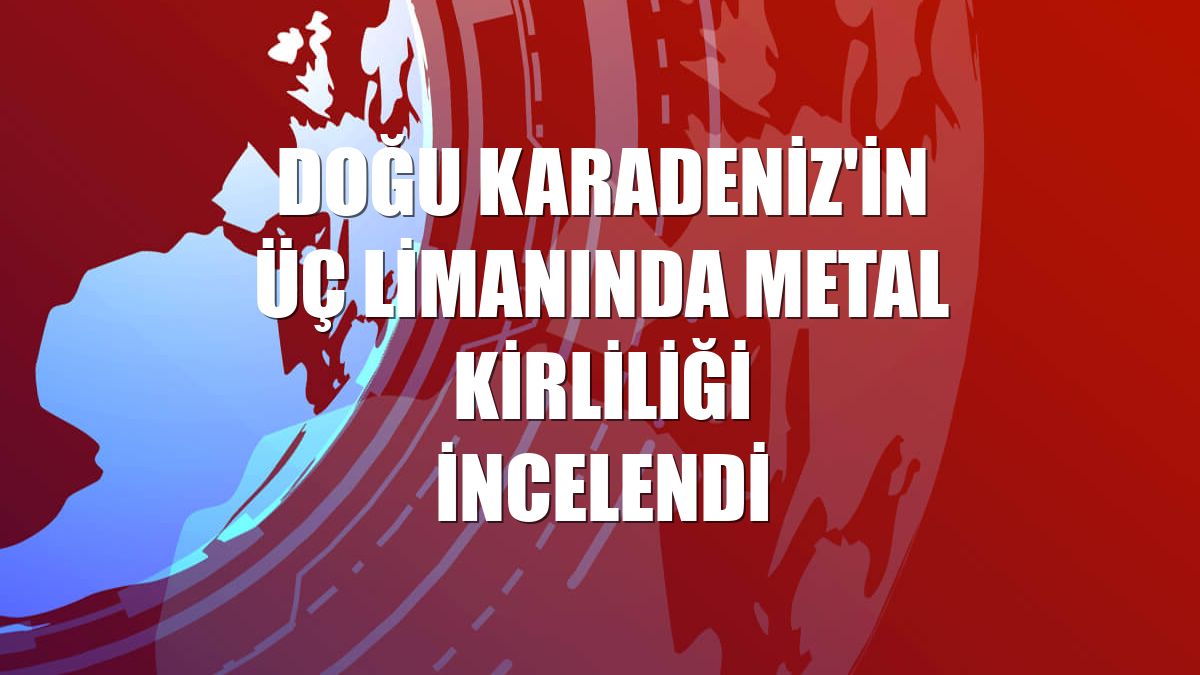 Doğu Karadeniz'in üç limanında metal kirliliği incelendi