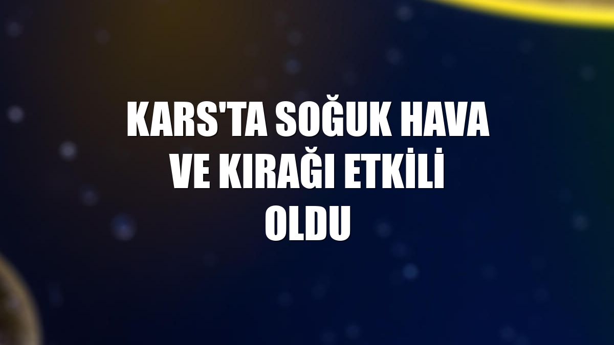 Kars'ta soğuk hava ve kırağı etkili oldu