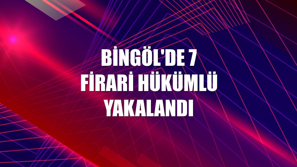Bingöl'de 7 firari hükümlü yakalandı