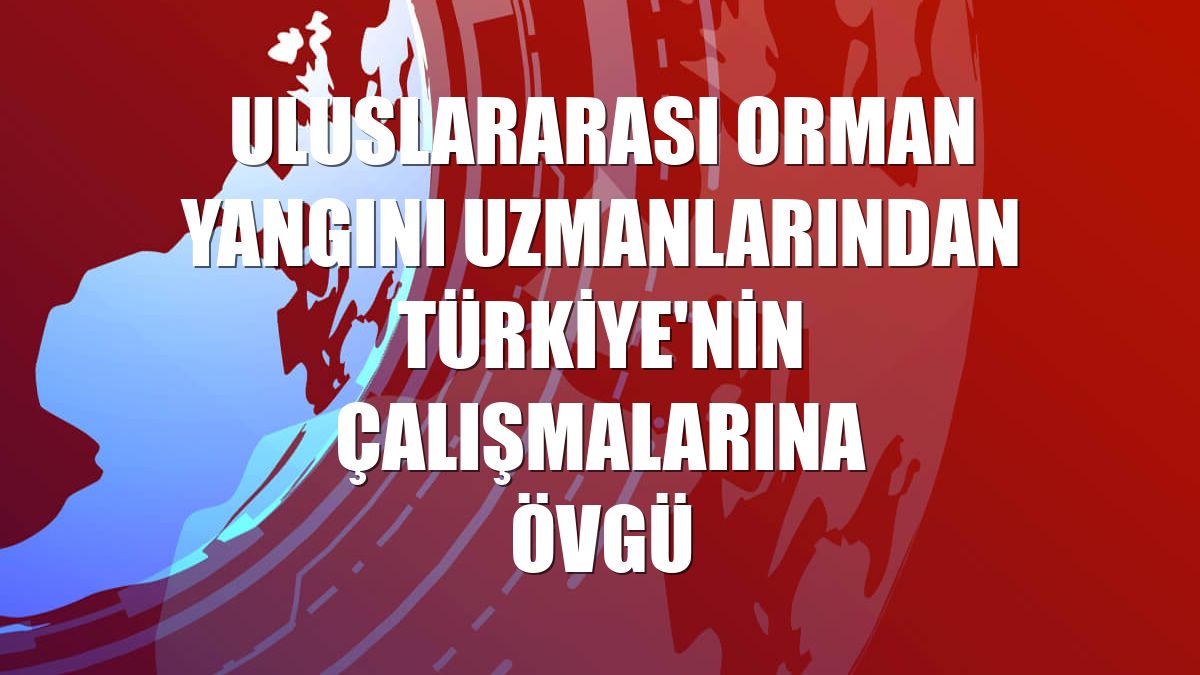 Uluslararası orman yangını uzmanlarından Türkiye'nin çalışmalarına övgü