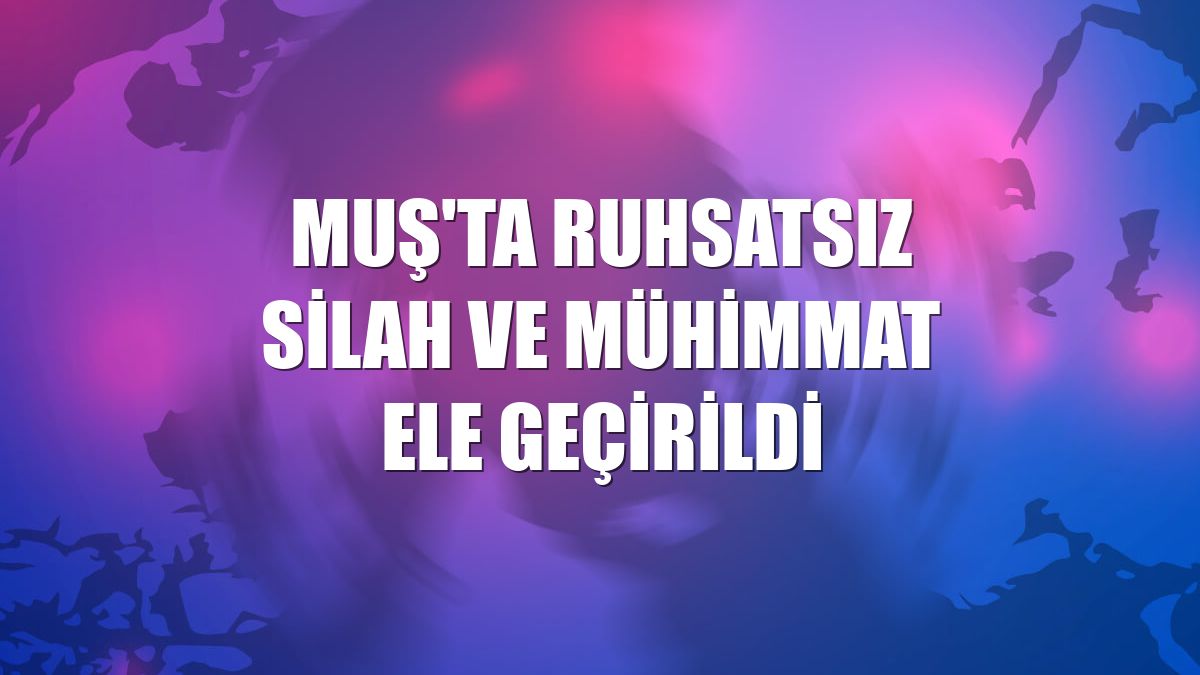 Muş'ta ruhsatsız silah ve mühimmat ele geçirildi
