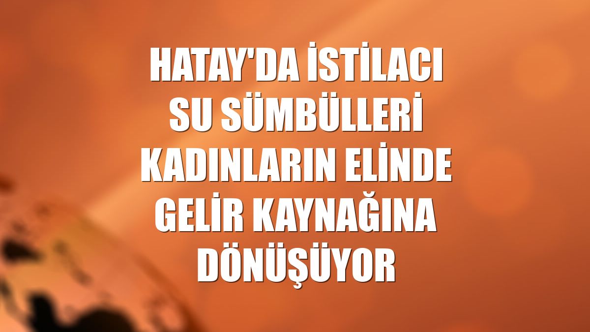 Hatay'da istilacı su sümbülleri kadınların elinde gelir kaynağına dönüşüyor