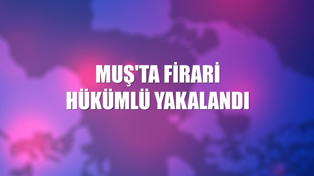 Muş'ta firari hükümlü yakalandı