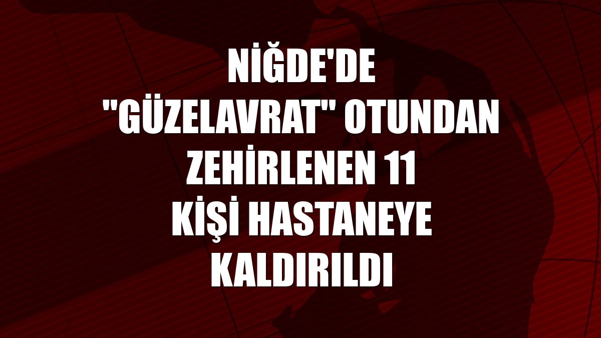 Niğde'de "güzelavrat" otundan zehirlenen 11 kişi hastaneye kaldırıldı