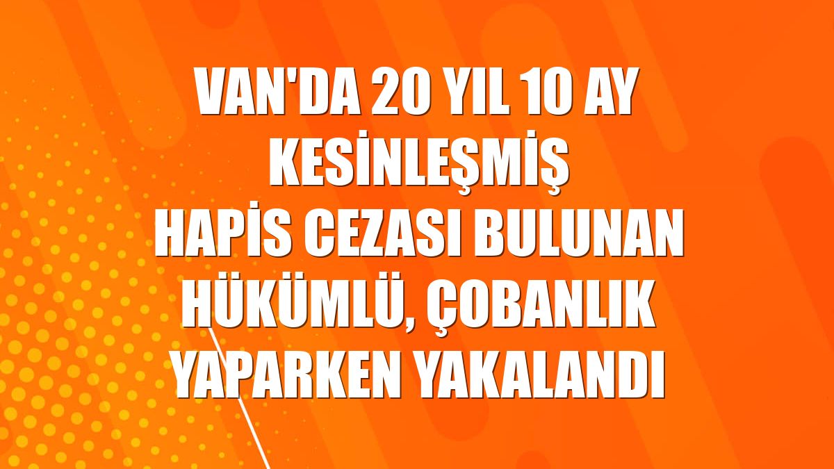 Van'da 20 yıl 10 ay kesinleşmiş hapis cezası bulunan hükümlü, çobanlık yaparken yakalandı