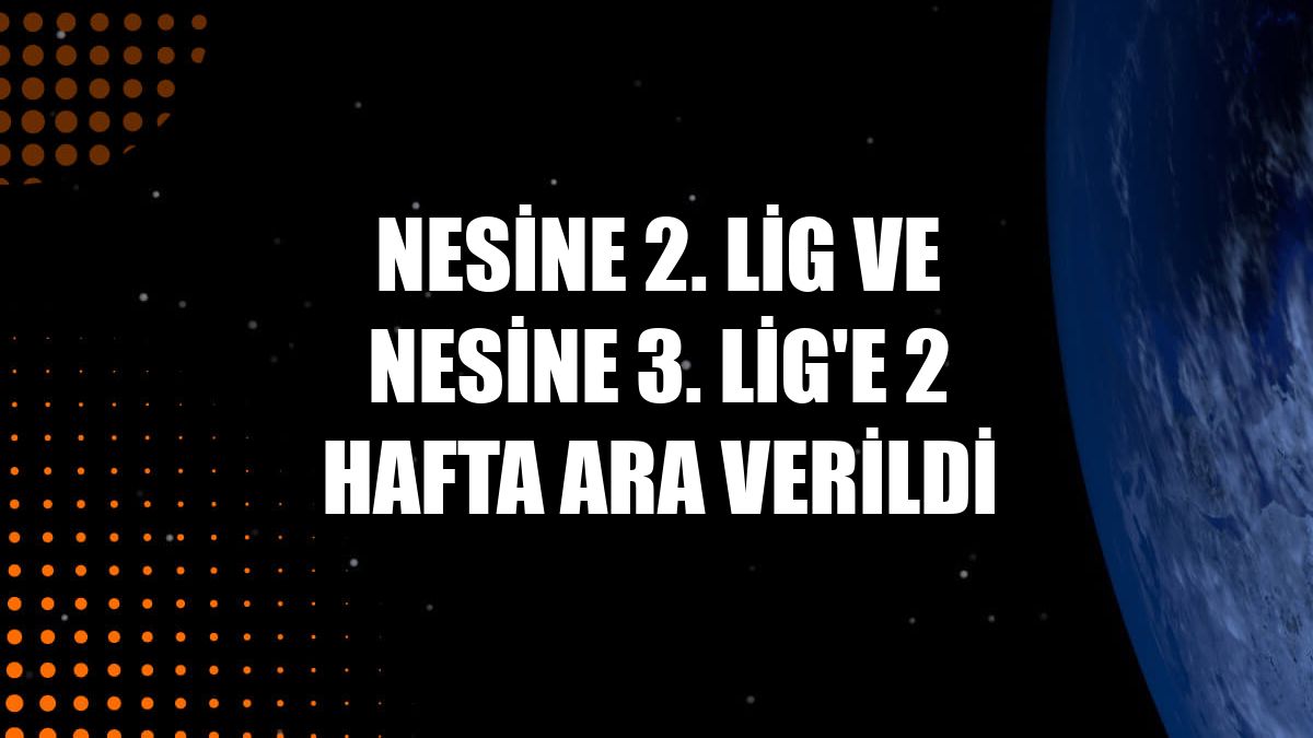 Nesine 2. Lig ve Nesine 3. Lig'e 2 hafta ara verildi
