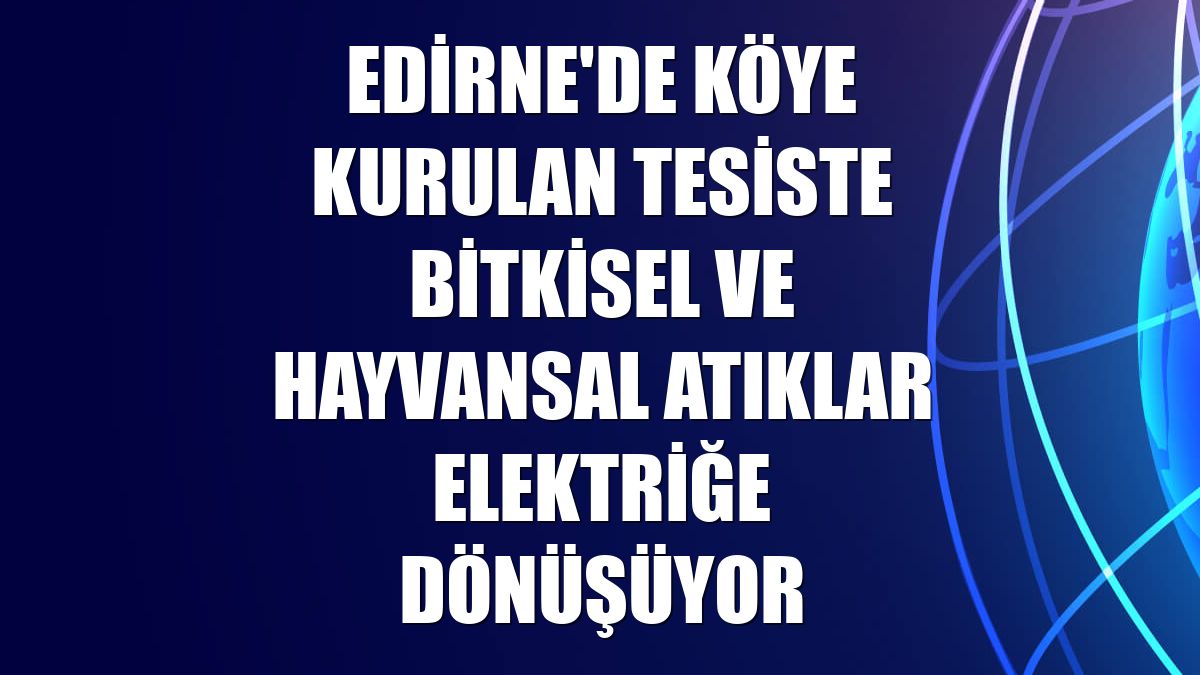 Edirne'de köye kurulan tesiste bitkisel ve hayvansal atıklar elektriğe dönüşüyor