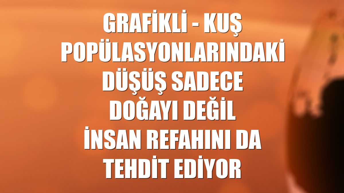 GRAFİKLİ - Kuş popülasyonlarındaki düşüş sadece doğayı değil insan refahını da tehdit ediyor