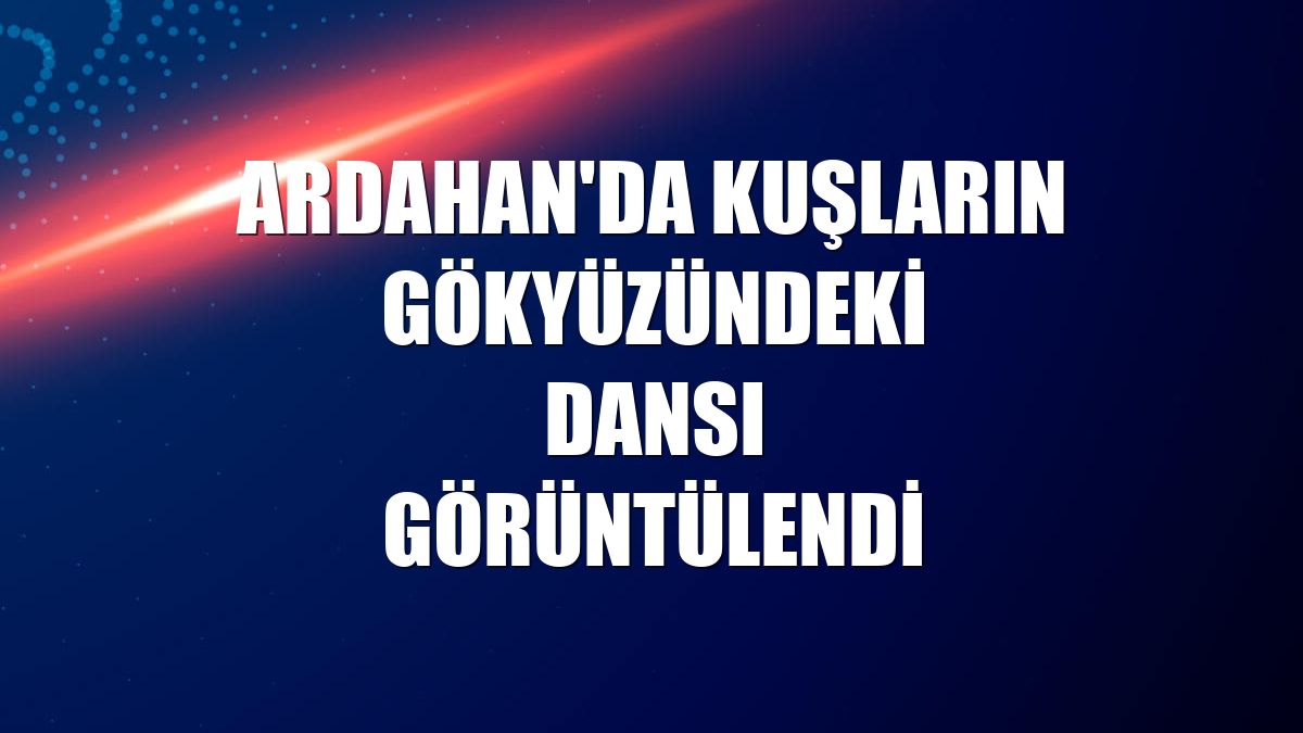 Ardahan'da kuşların gökyüzündeki dansı görüntülendi