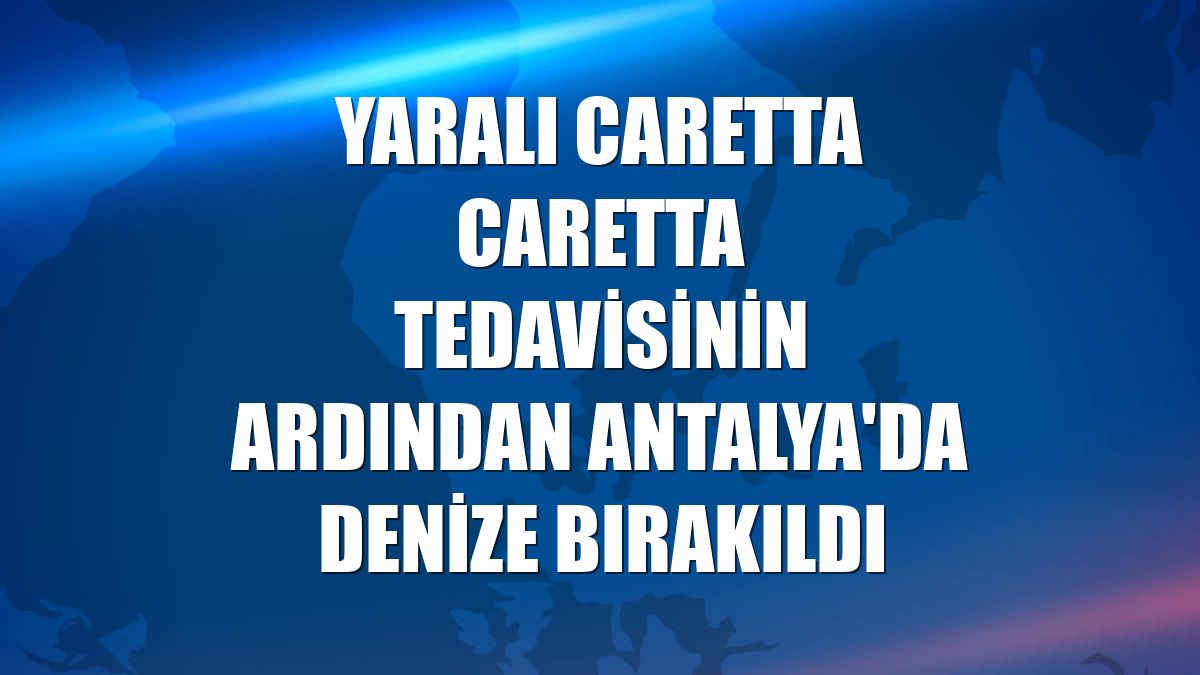 Yaralı Caretta caretta tedavisinin ardından Antalya'da denize bırakıldı