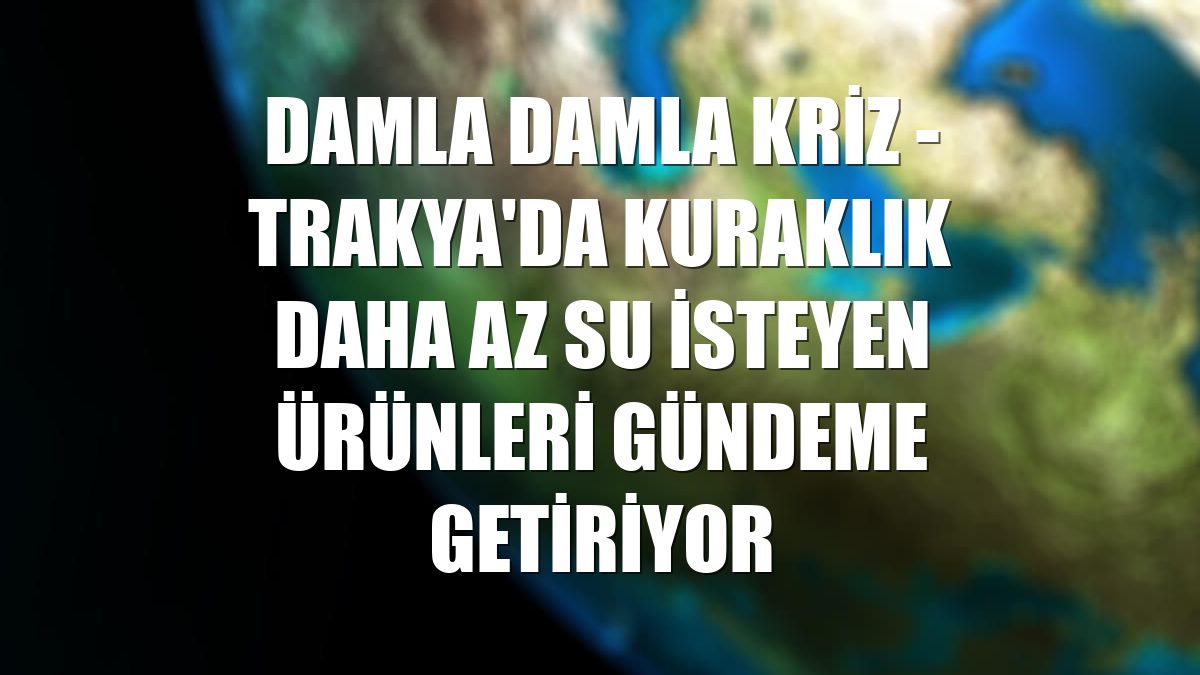 DAMLA DAMLA KRİZ - Trakya'da kuraklık daha az su isteyen ürünleri gündeme getiriyor