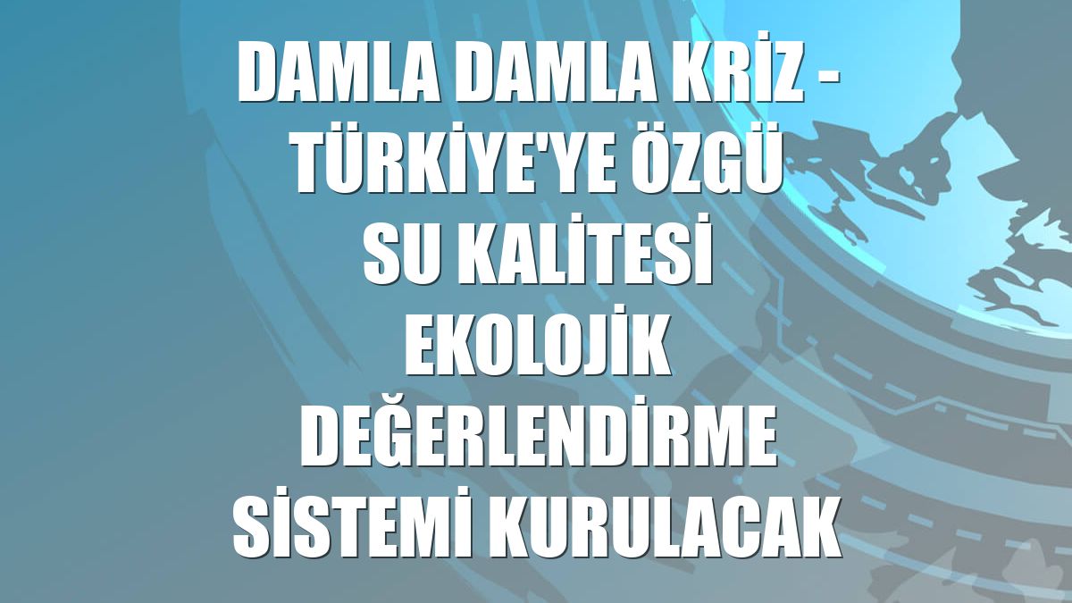 DAMLA DAMLA KRİZ - Türkiye'ye özgü su kalitesi ekolojik değerlendirme sistemi kurulacak