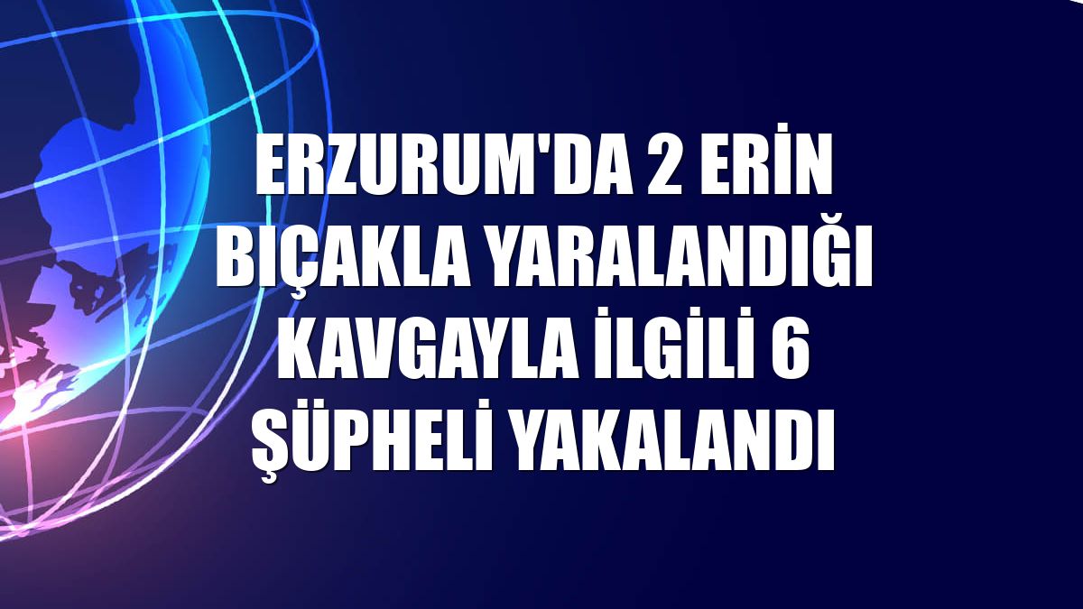 Erzurum'da 2 erin bıçakla yaralandığı kavgayla ilgili 6 şüpheli yakalandı