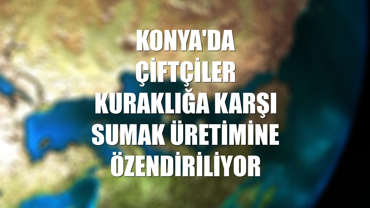Konya'da çiftçiler kuraklığa karşı sumak üretimine özendiriliyor