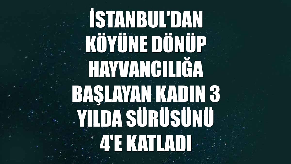 İstanbul'dan köyüne dönüp hayvancılığa başlayan kadın 3 yılda sürüsünü 4'e katladı