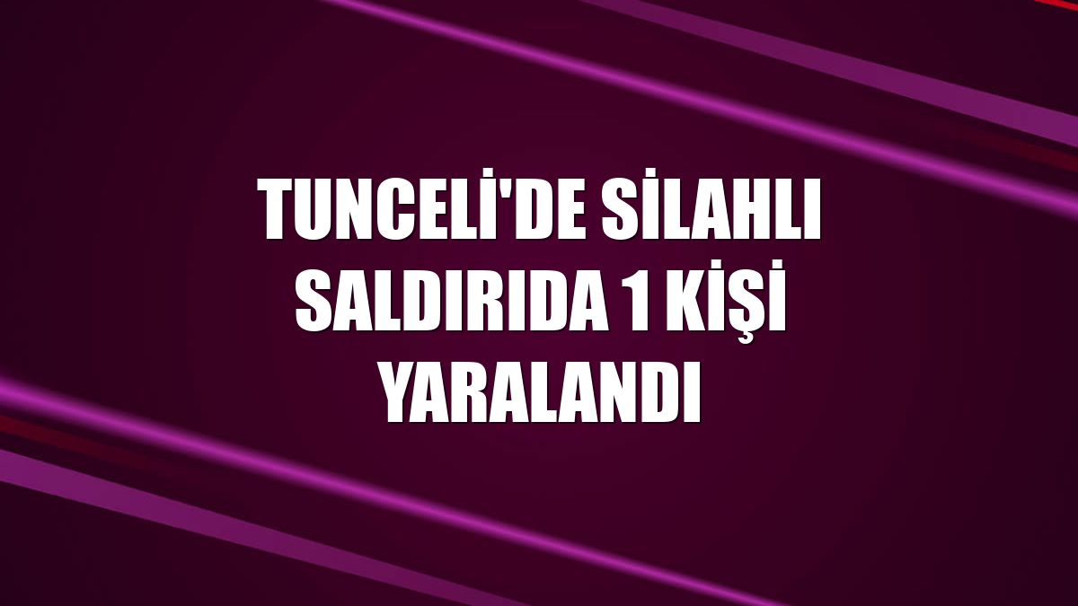 Tunceli'de silahlı saldırıda 1 kişi yaralandı