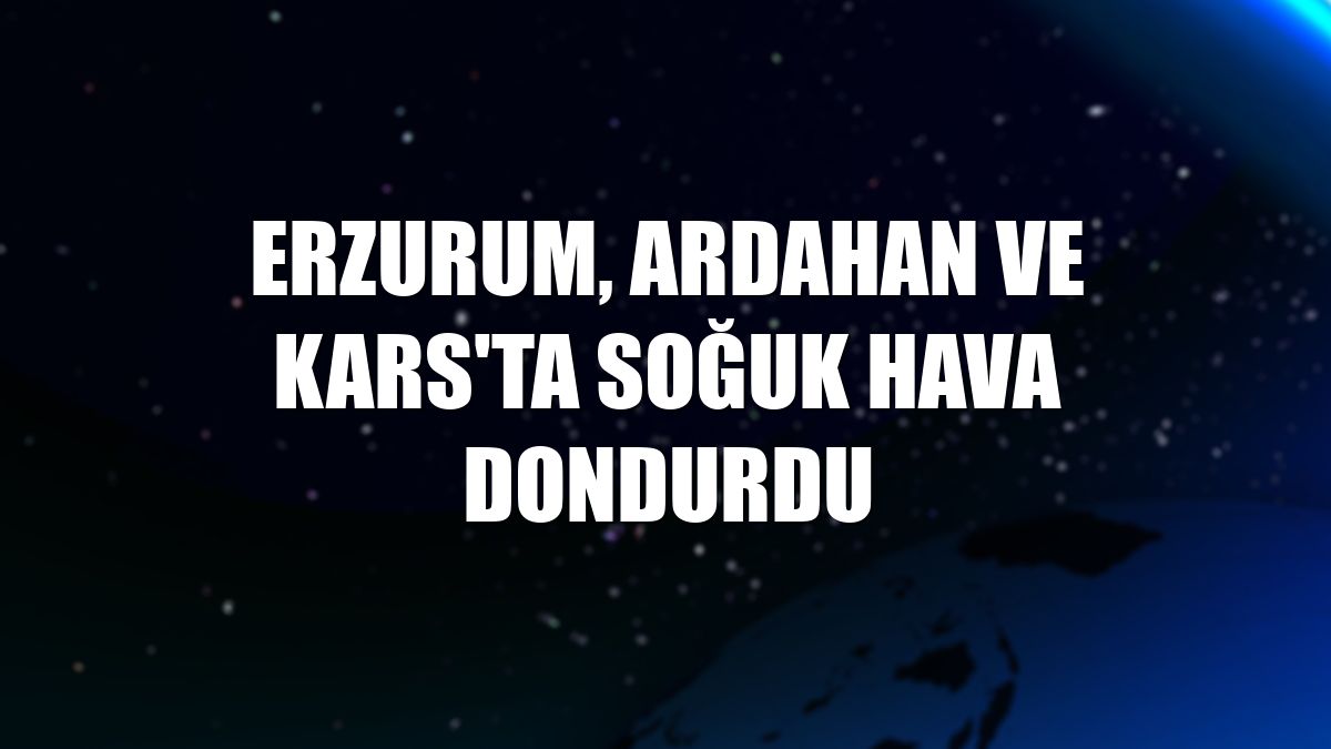 Erzurum, Ardahan ve Kars'ta soğuk hava dondurdu