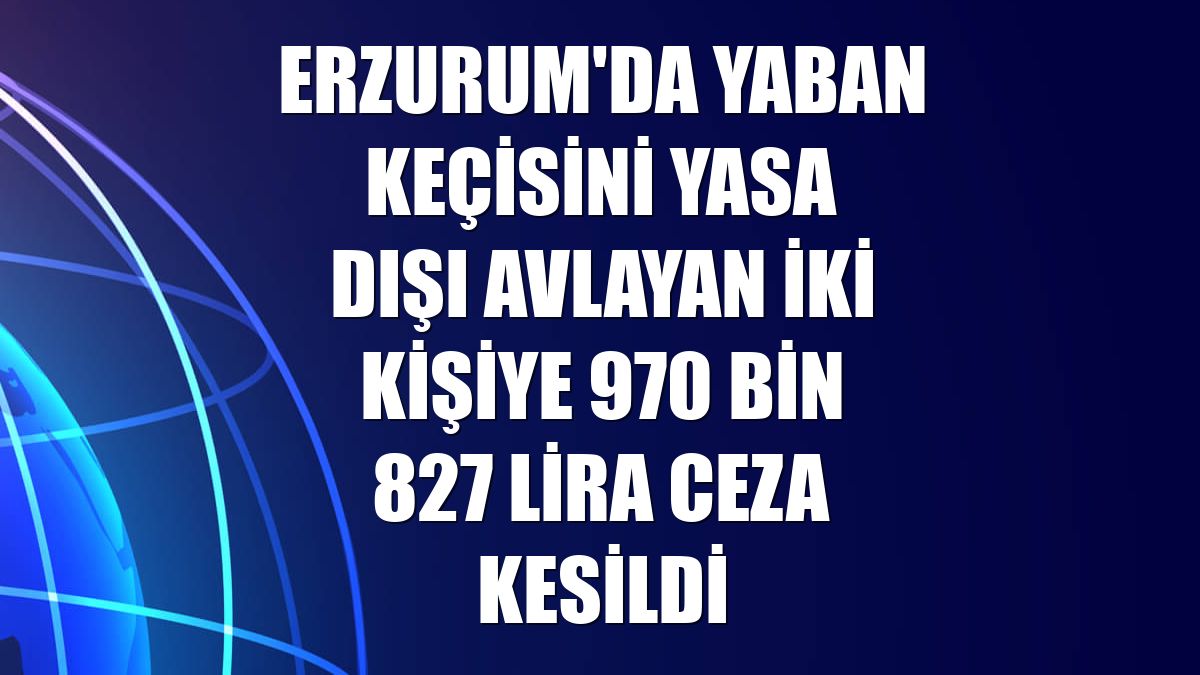 Erzurum'da yaban keçisini yasa dışı avlayan iki kişiye 970 bin 827 lira ceza kesildi