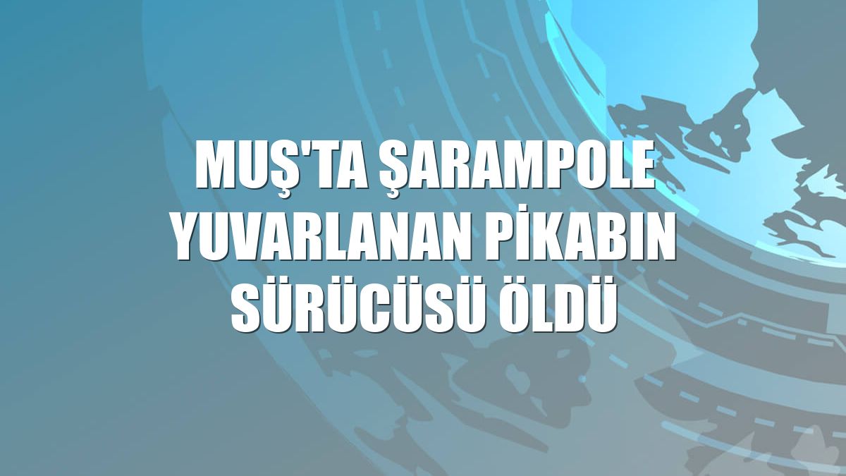 Muş'ta şarampole yuvarlanan pikabın sürücüsü öldü
