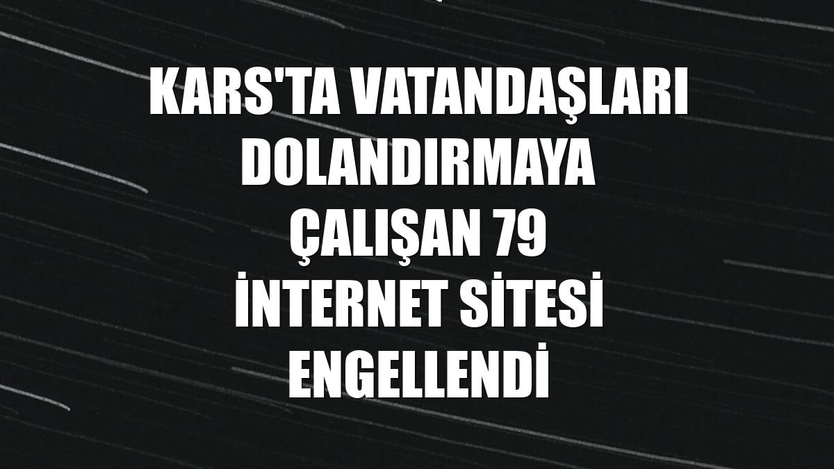 Kars'ta vatandaşları dolandırmaya çalışan 79 internet sitesi engellendi