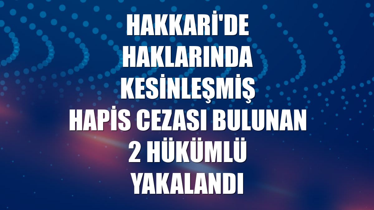 Hakkari'de haklarında kesinleşmiş hapis cezası bulunan 2 hükümlü yakalandı