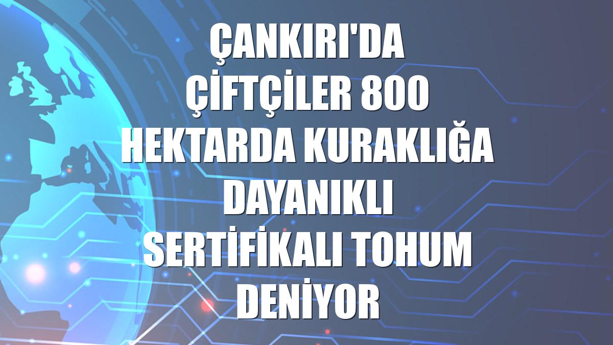 Çankırı'da çiftçiler 800 hektarda kuraklığa dayanıklı sertifikalı tohum deniyor